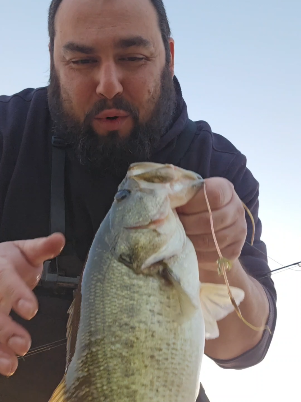 @SacPig Bait Co.