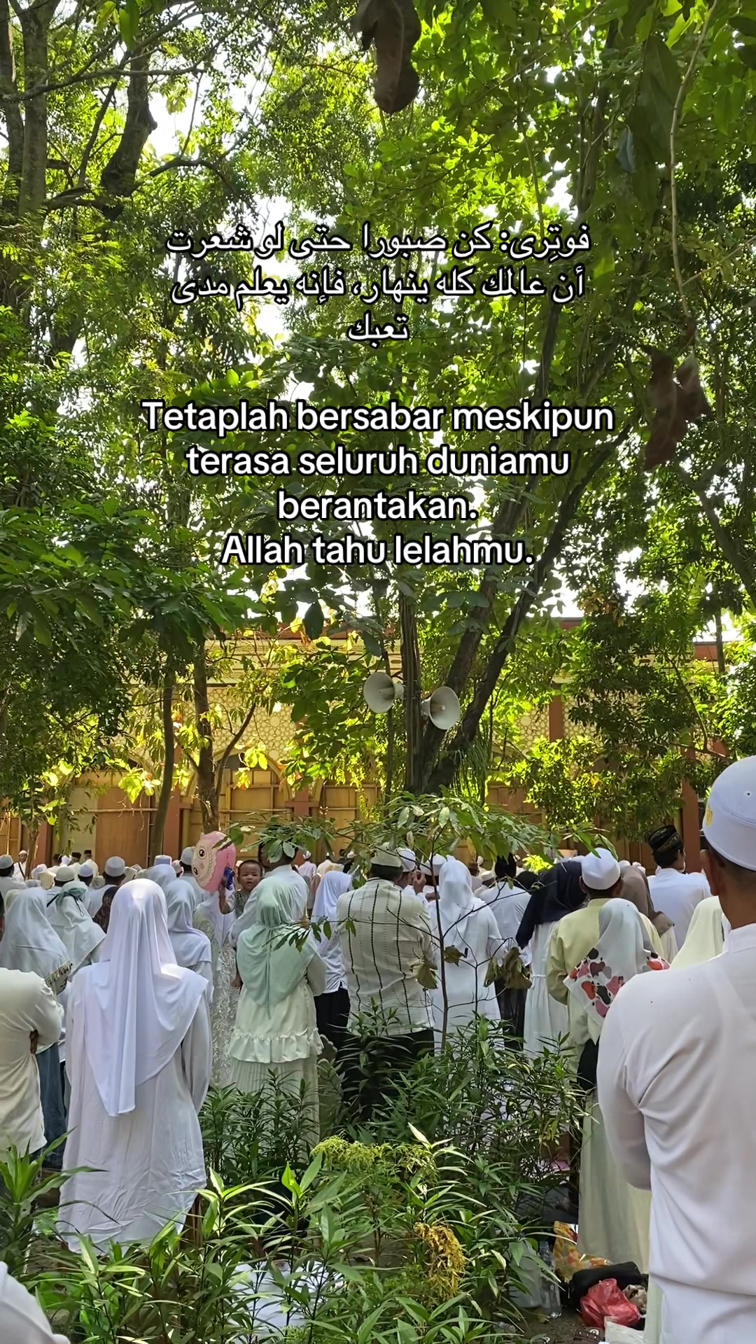 @Aenijuni