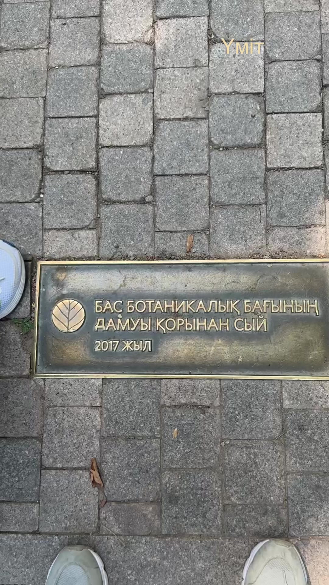 @Р.И.М