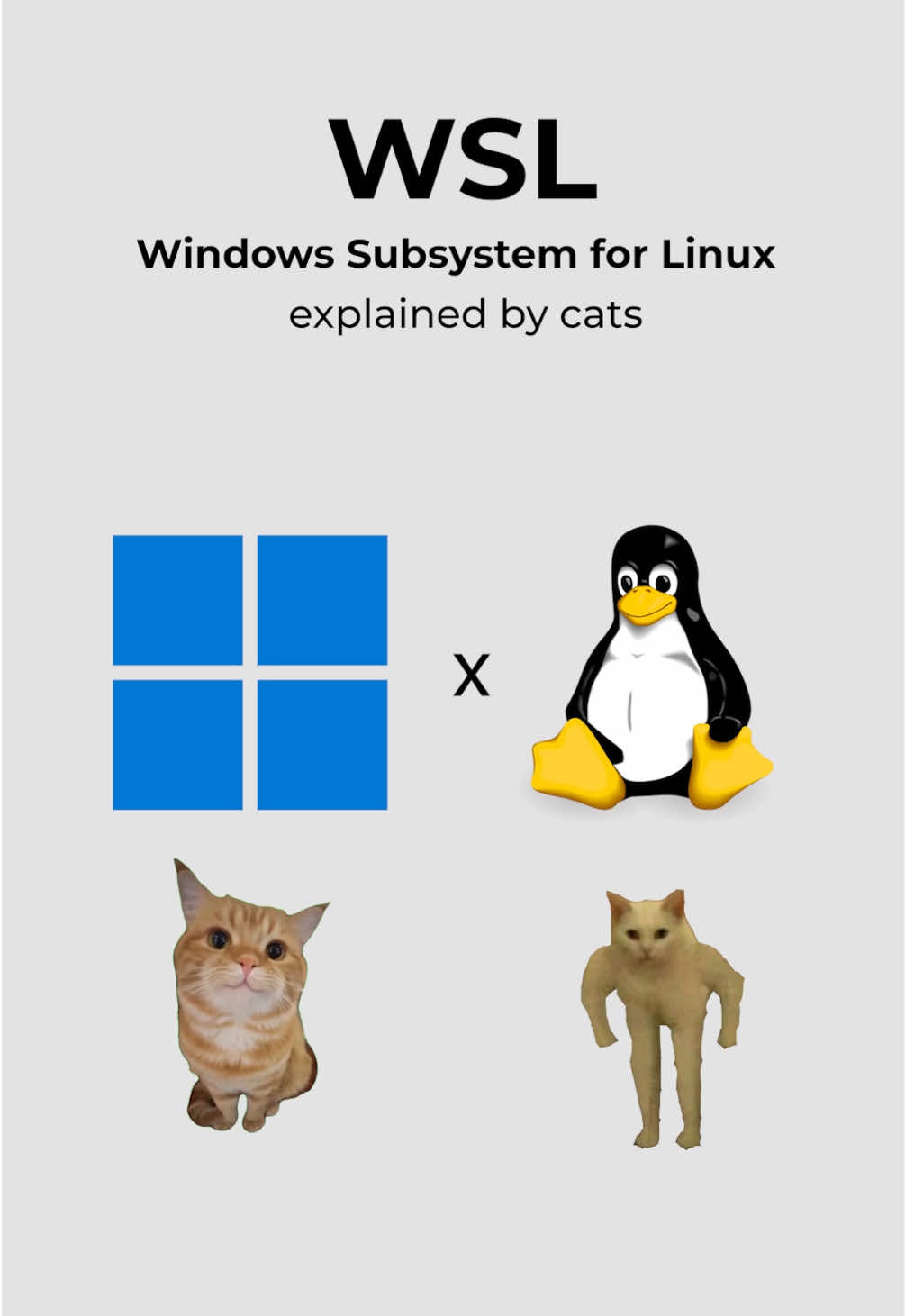 @Microsoft Developer