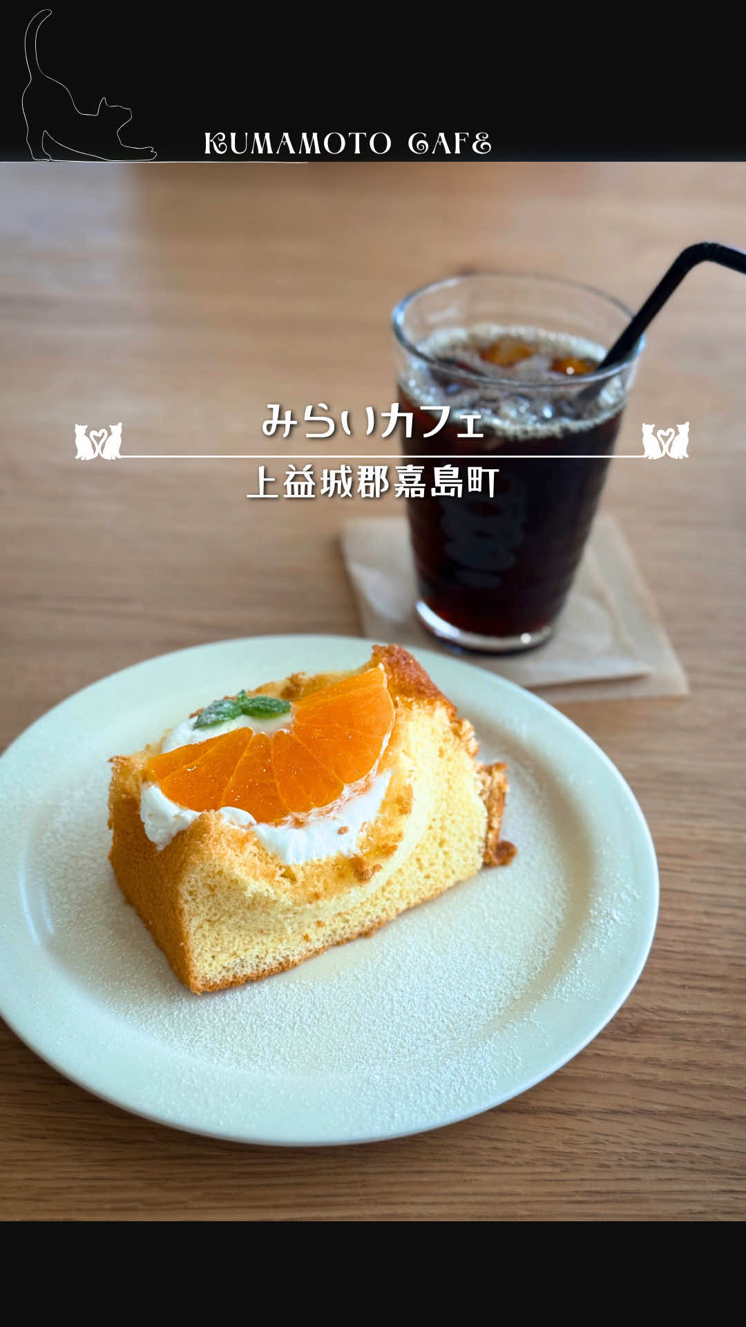 @まゆ猫