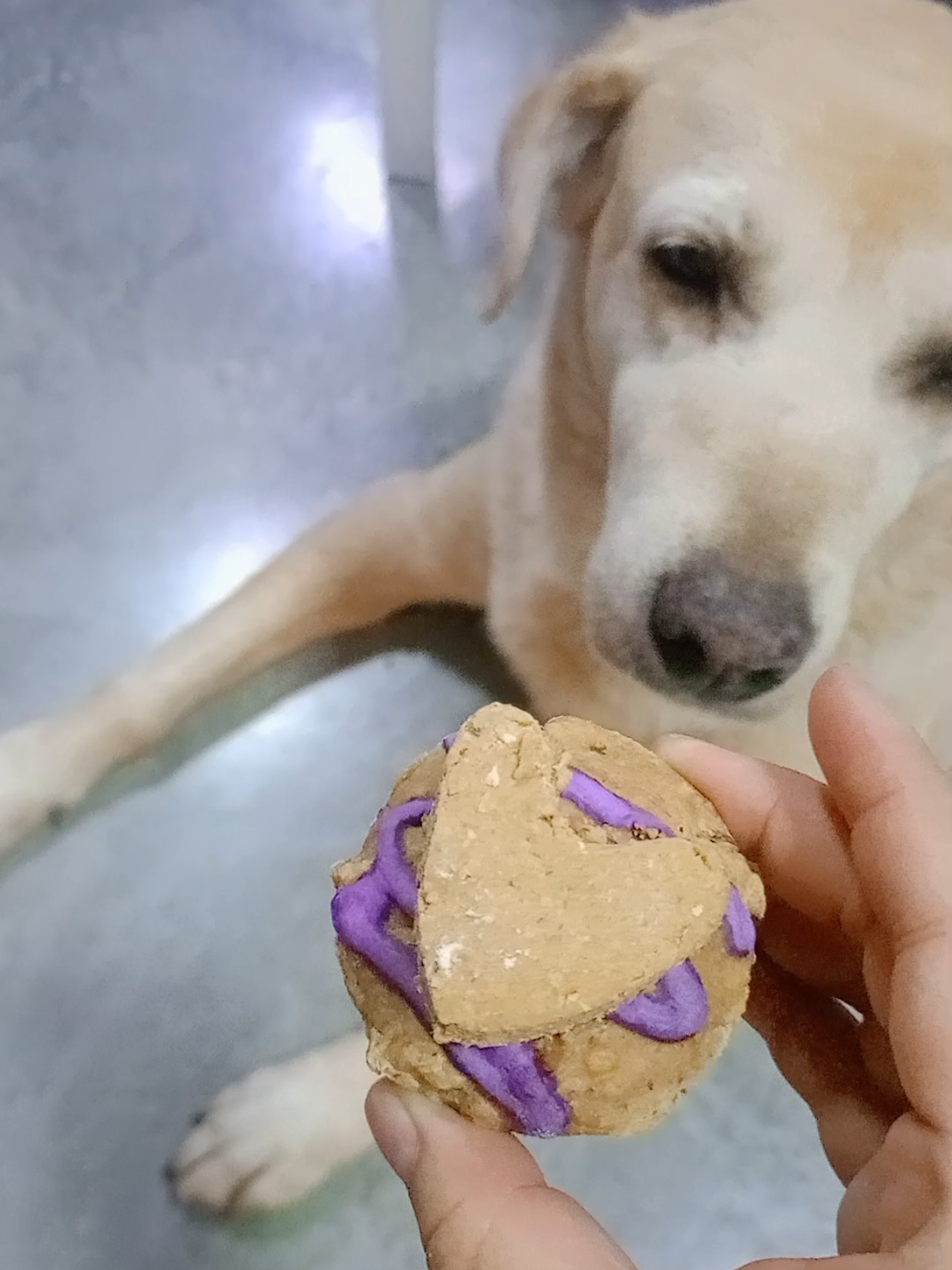 @Apolo Bakery
