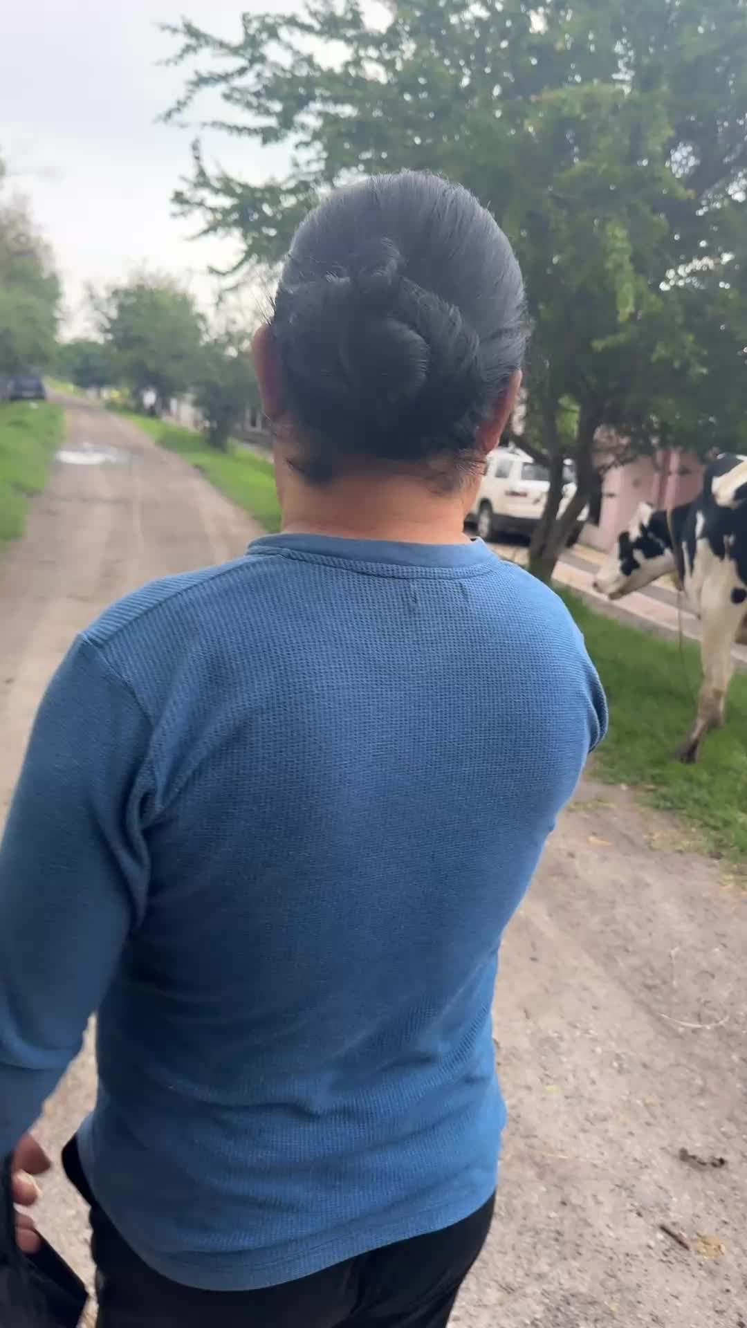 @avalosmichmex