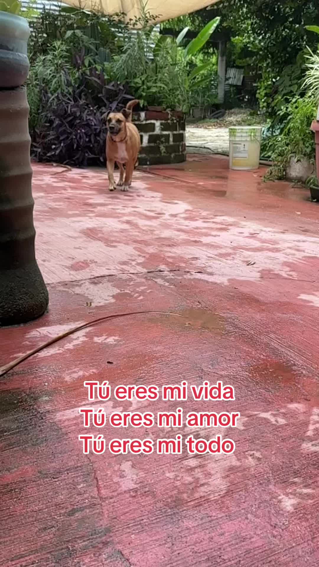 @Blanca Chavez