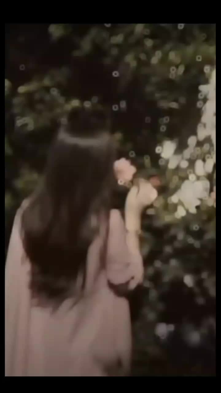 @🌴آنت الحیات᭄ِ❤️🩹