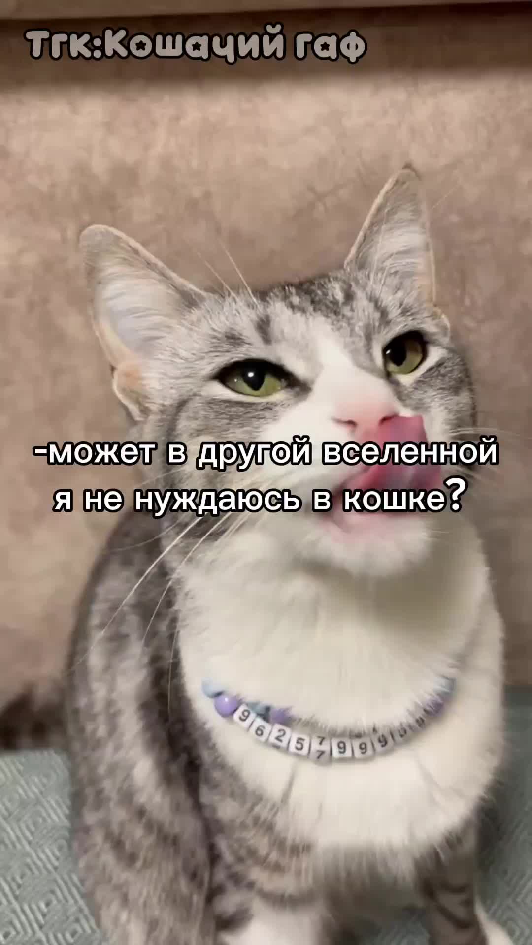@🩸маньячка🩸