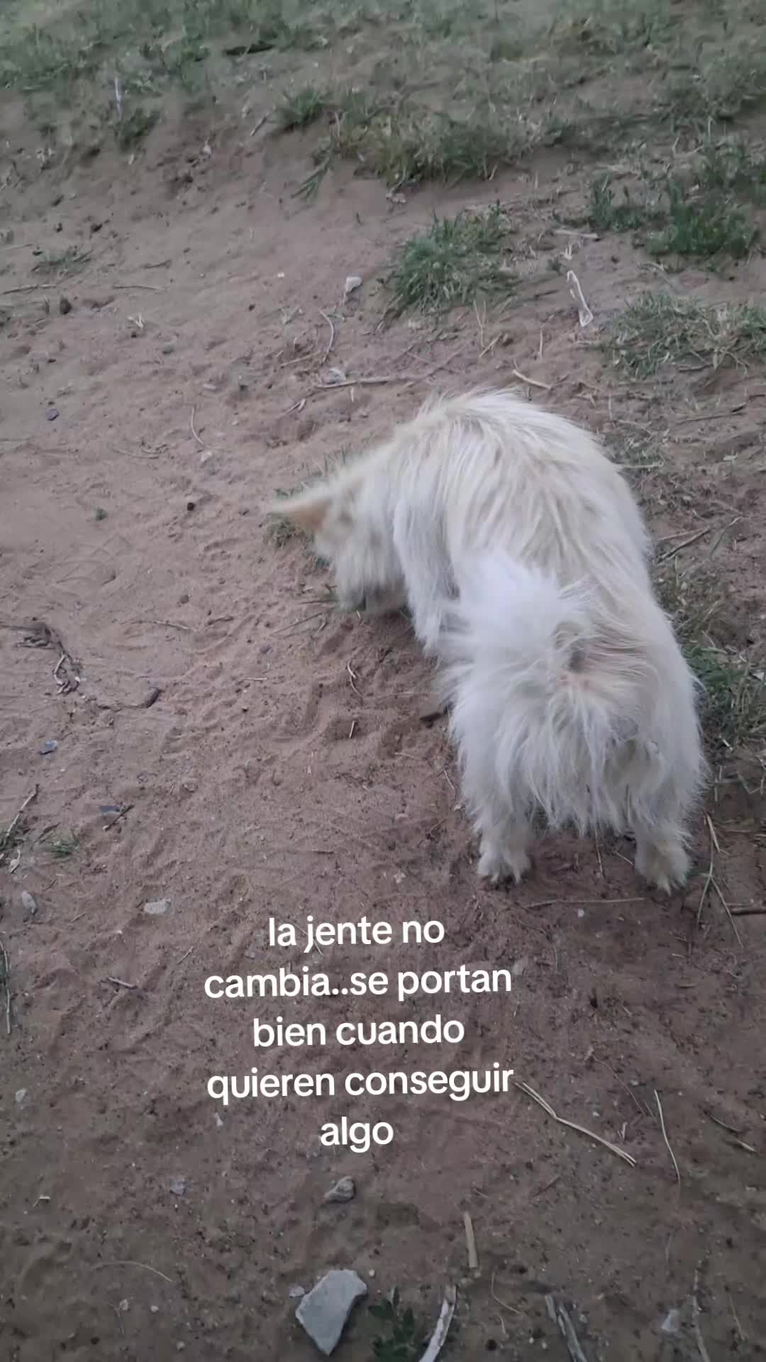 @Julieta lugo