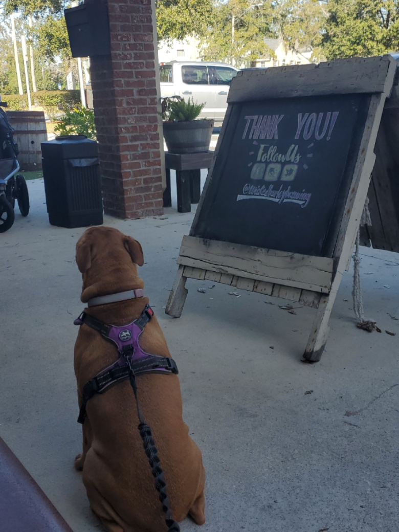 @Kane the friendliest Pit