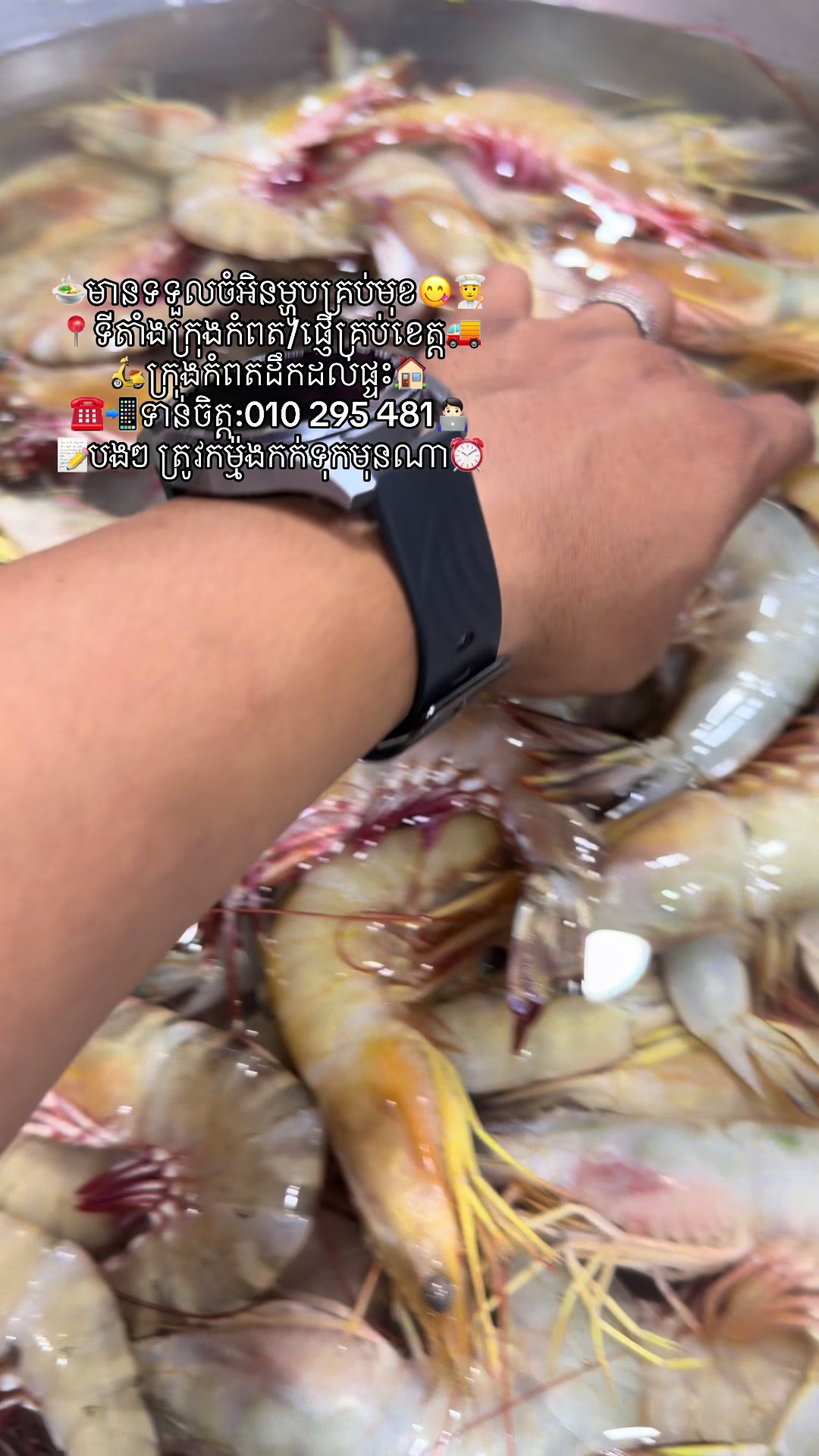 @កំពតគ្រឿងសមុទ្រ