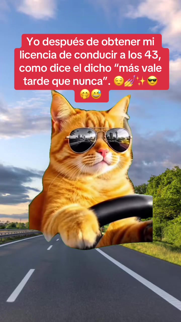 @Cinthya Sambrano