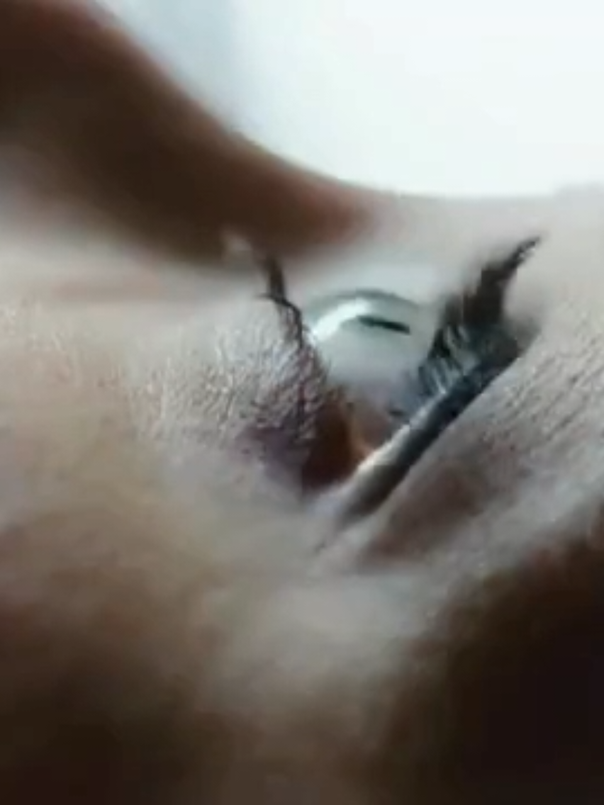 @horror_orman