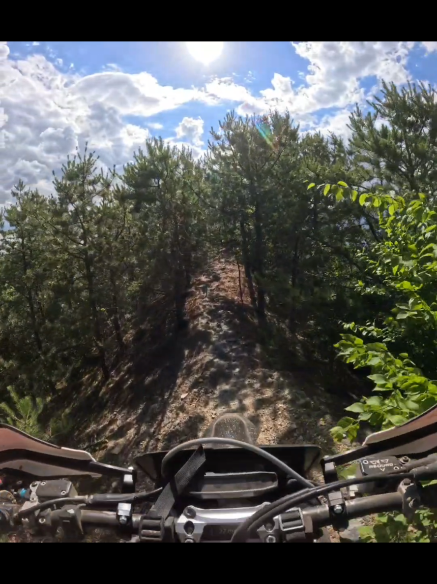 @Bike Angel 613