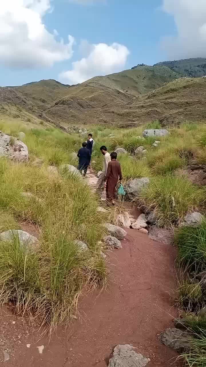 @nadeemakbarawan56