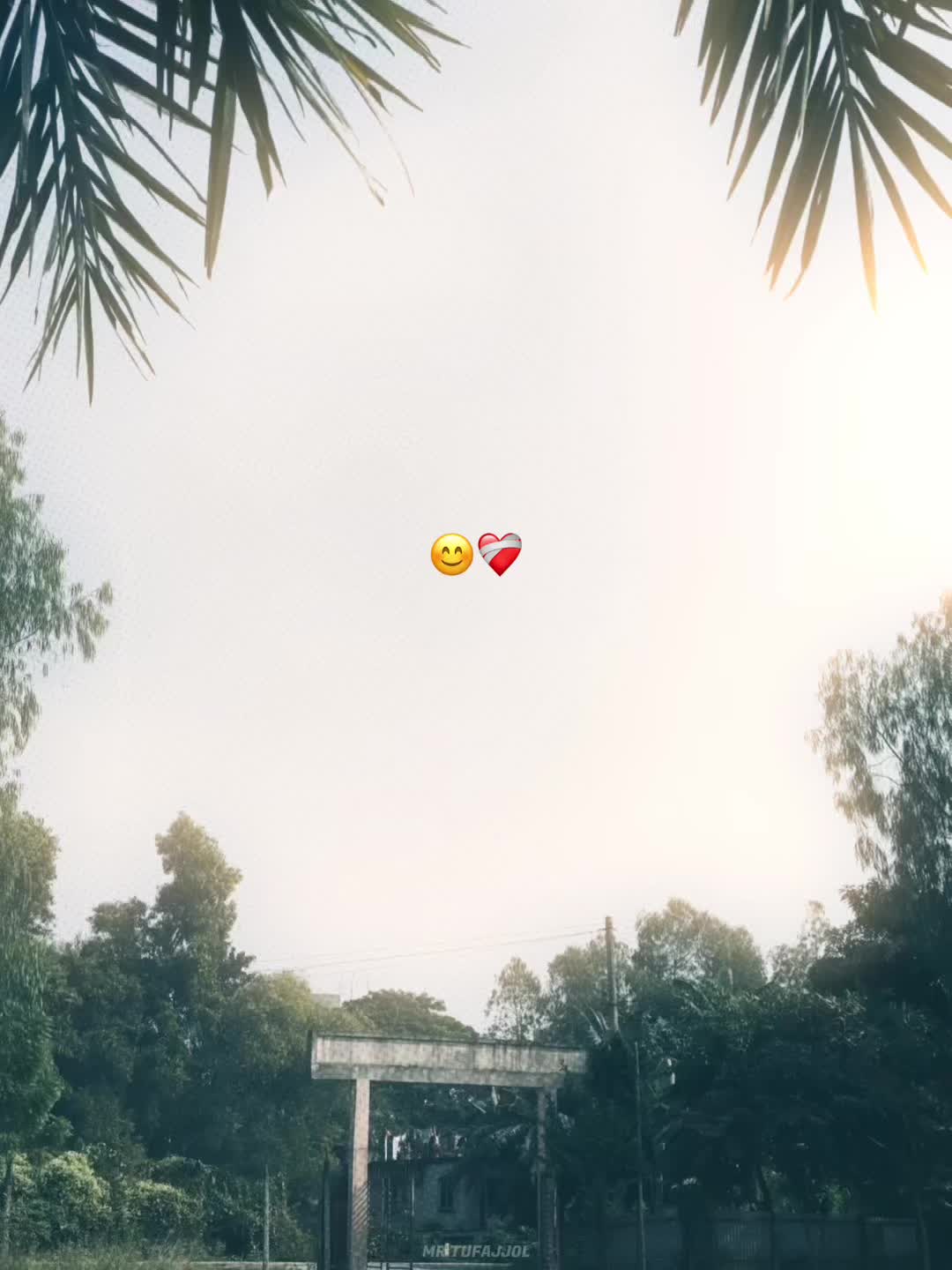 @-ᴅᴀɪꜱʏ-🌼