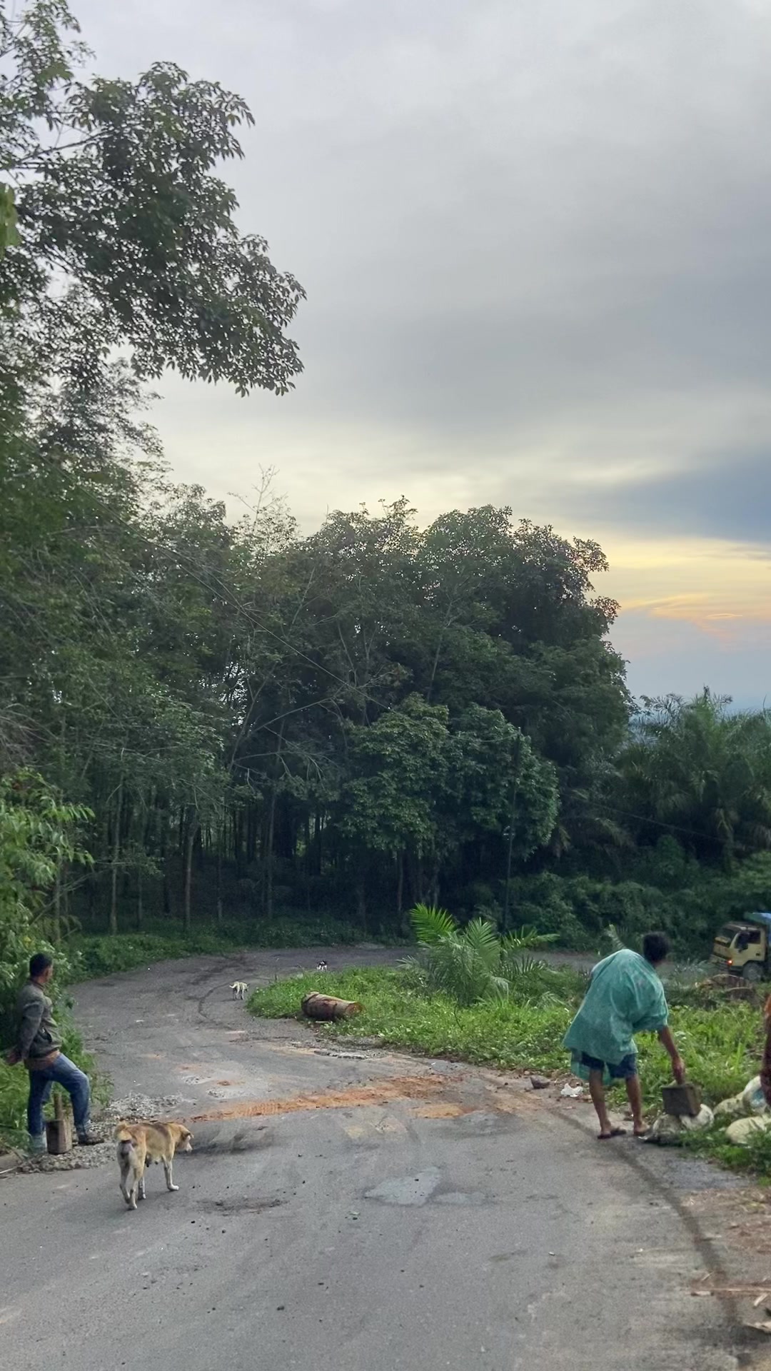 @majatarigan10