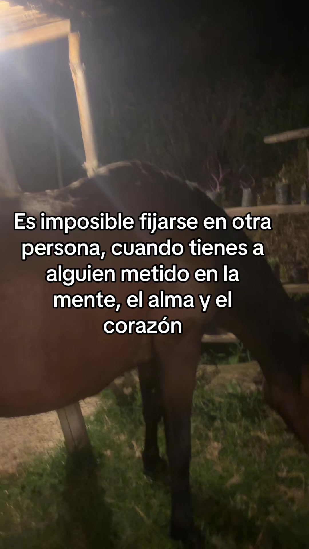 @Andrés