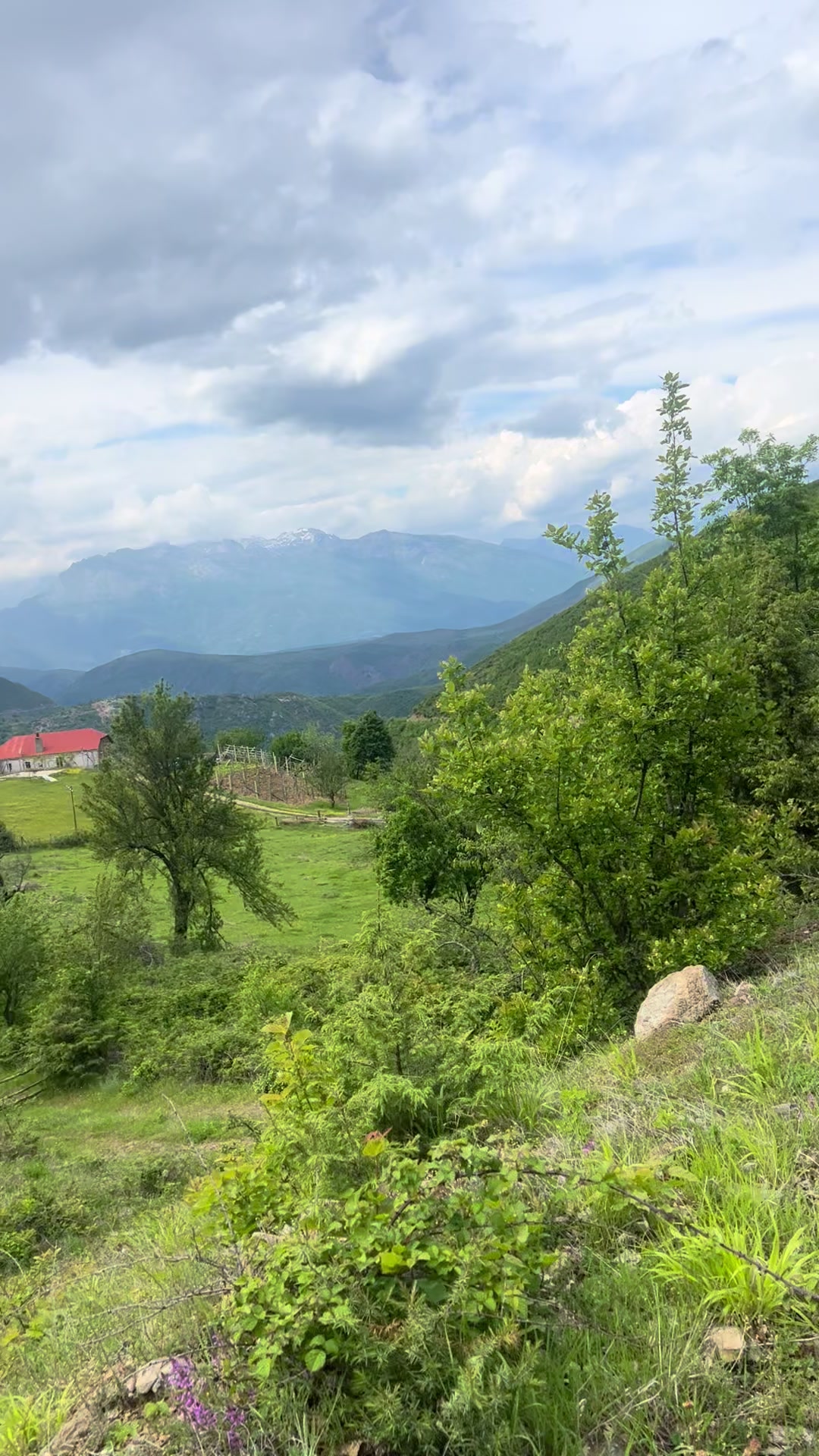 @Rigersi🧸Shpresa