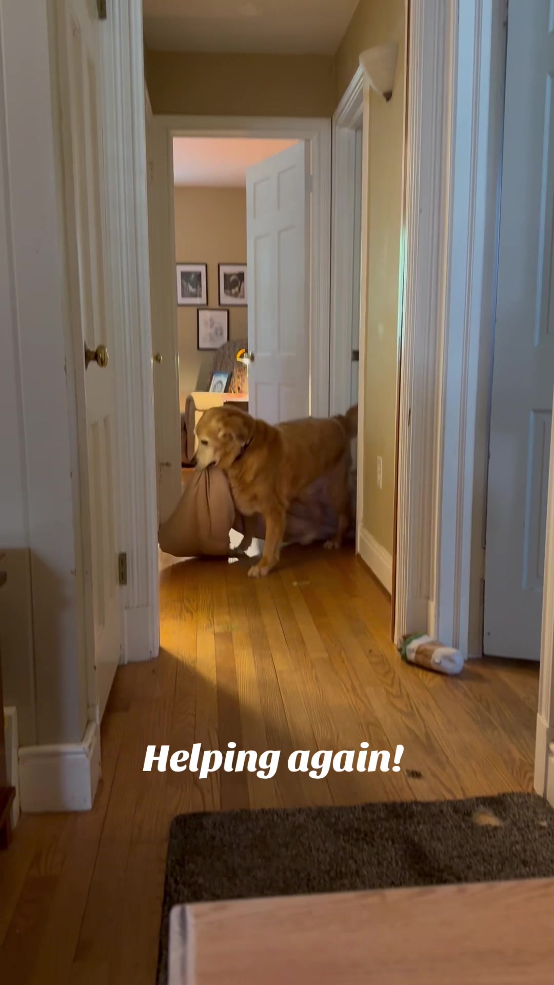 @lifewithduke2025