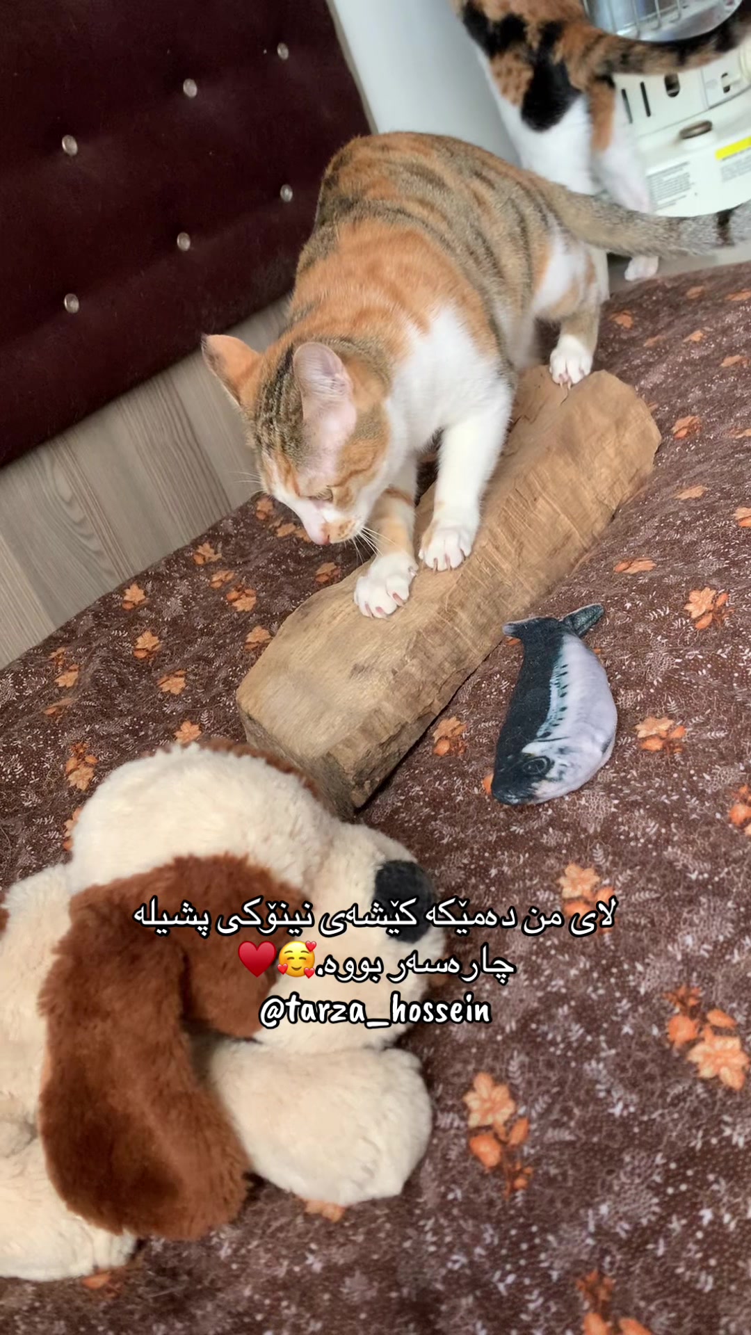 @تەرزە حسێن