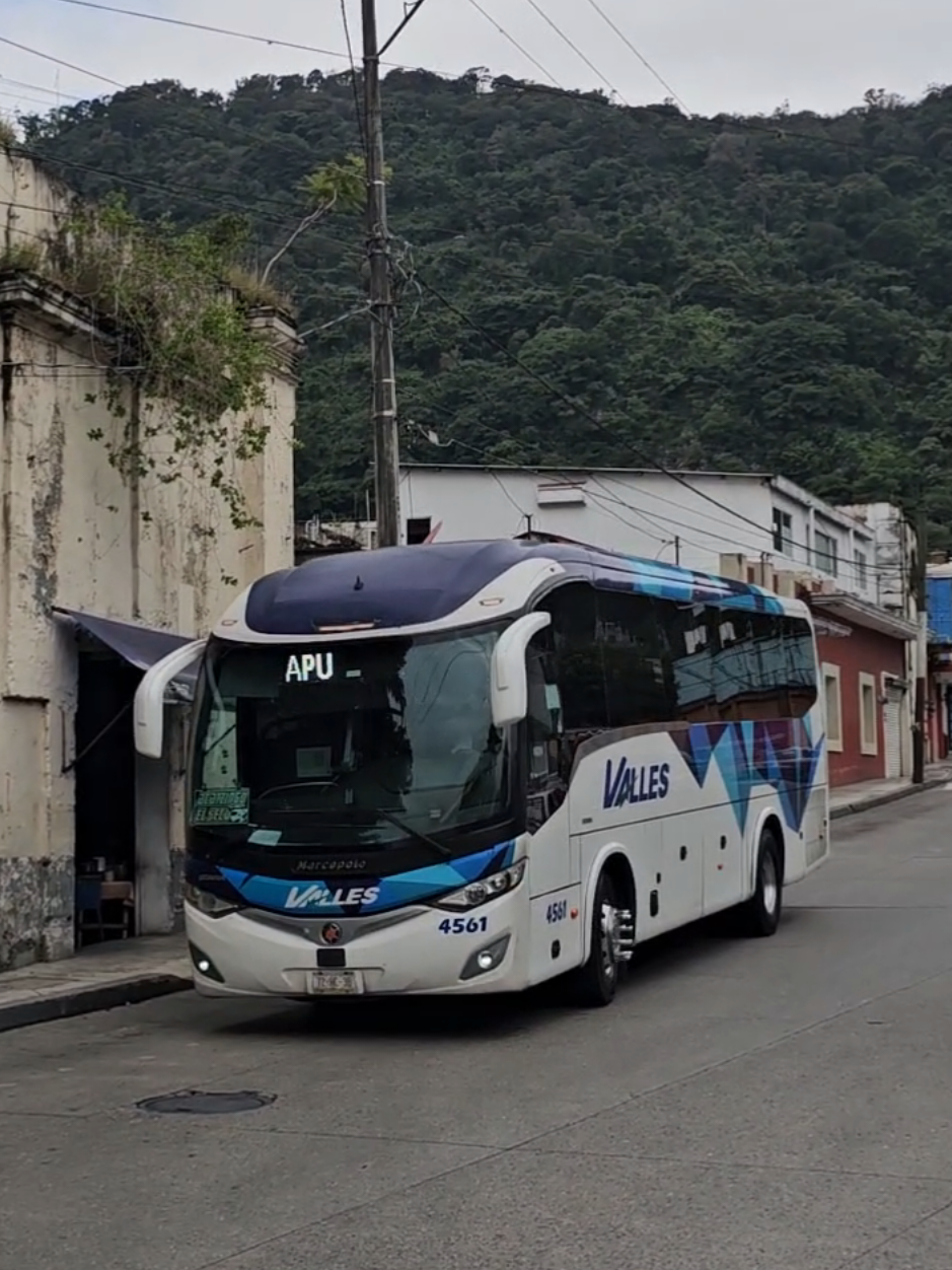 @cheit0:🚎🚎🇲🇽