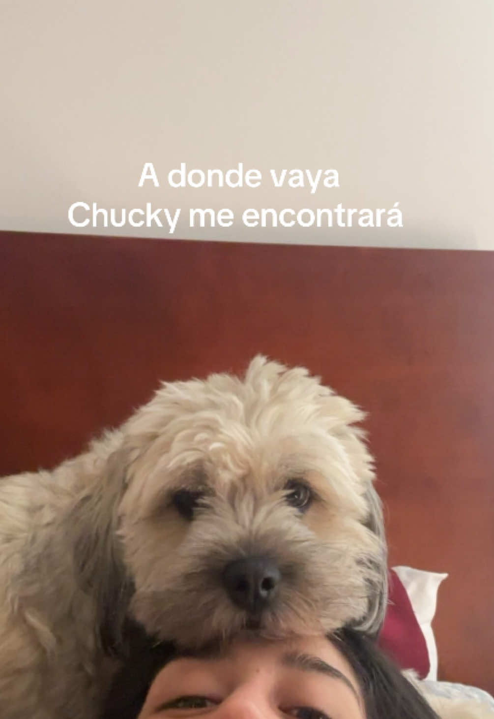 @Paula Gonzaga
