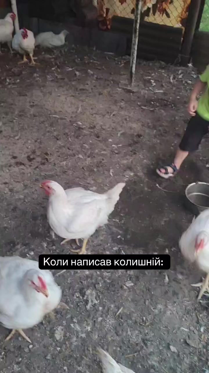 @Таня — mom blog 💕