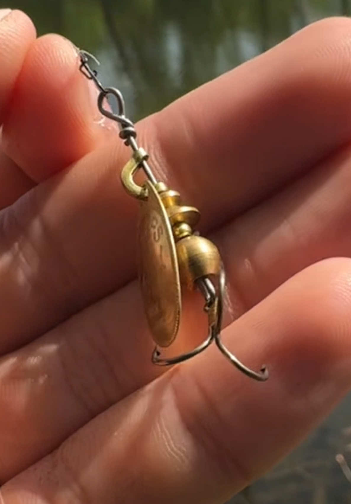 @𝗧𝗚.𝗗𝗬𝗫𝗙𝗜𝗦𝗛🎣