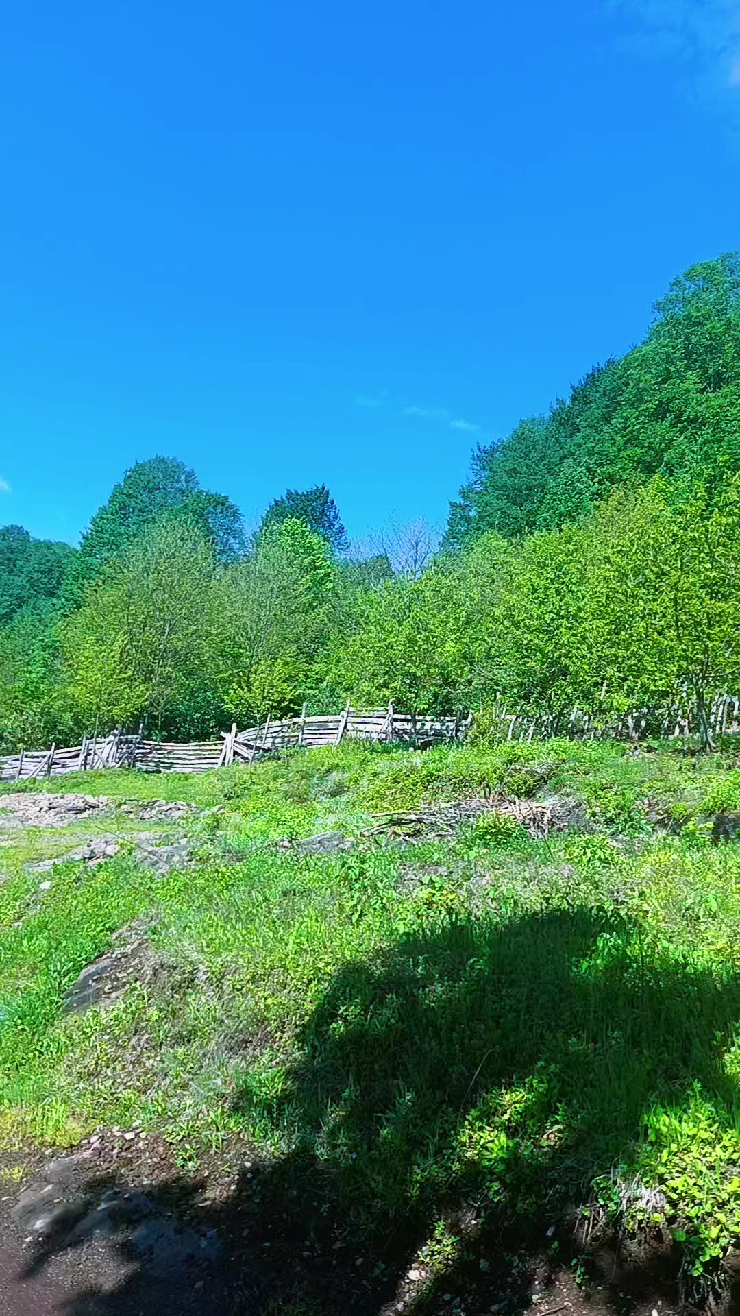 @𝓜𝓮𝓵𝓪𝓱𝓪𝓽 🕊️ 𝓔𝓻𝓴𝓪𝓷