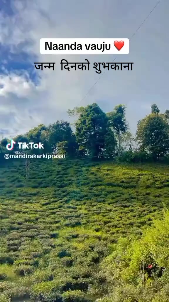 @Nerukarki