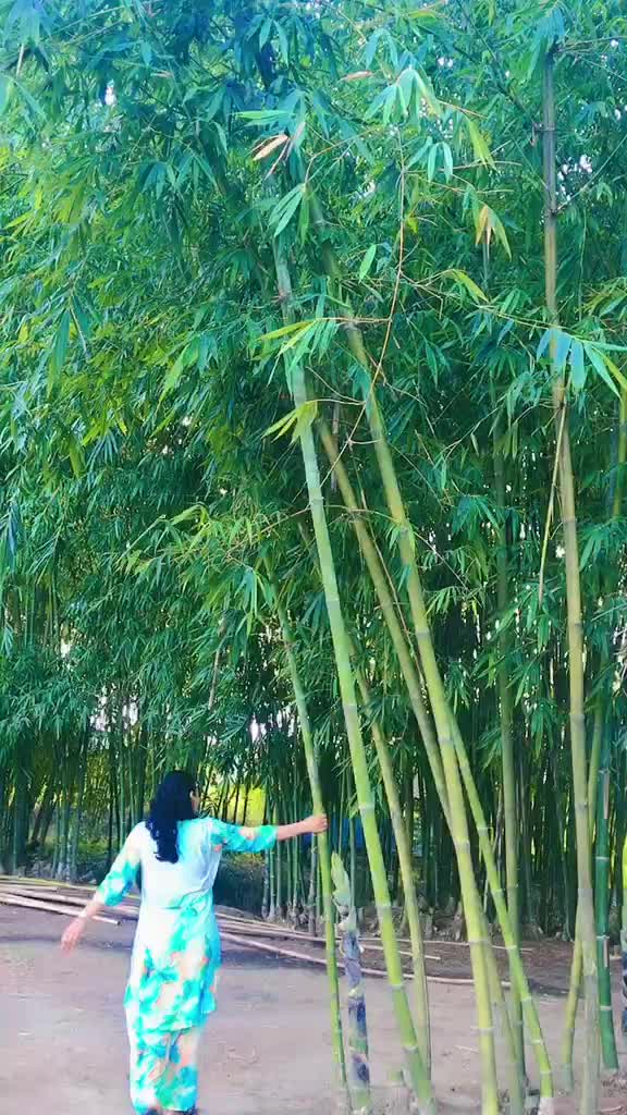 @Laughing queen 😊DRAGON🧘♀️