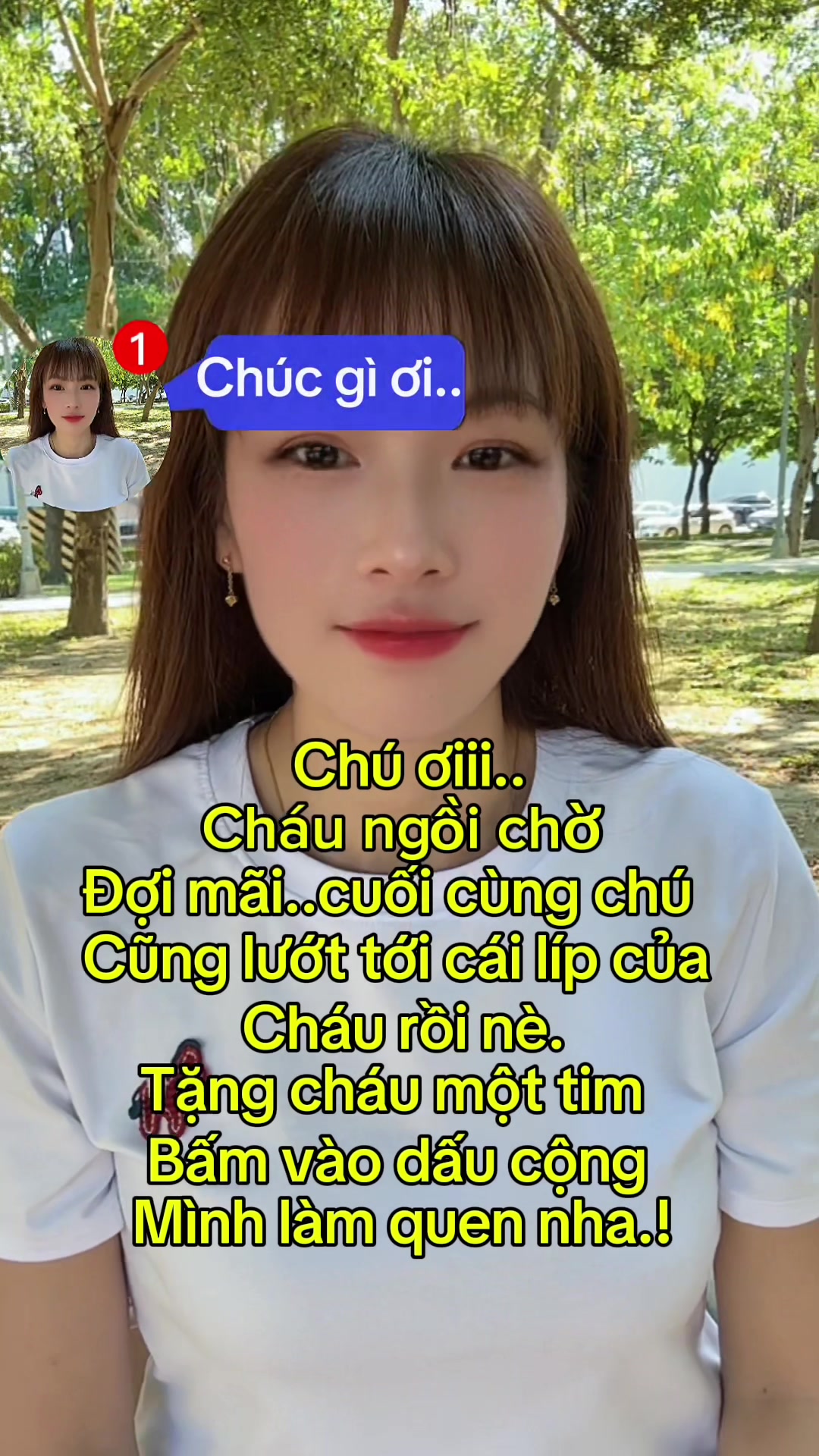 @KIẾN LỬA (螞蟻 )