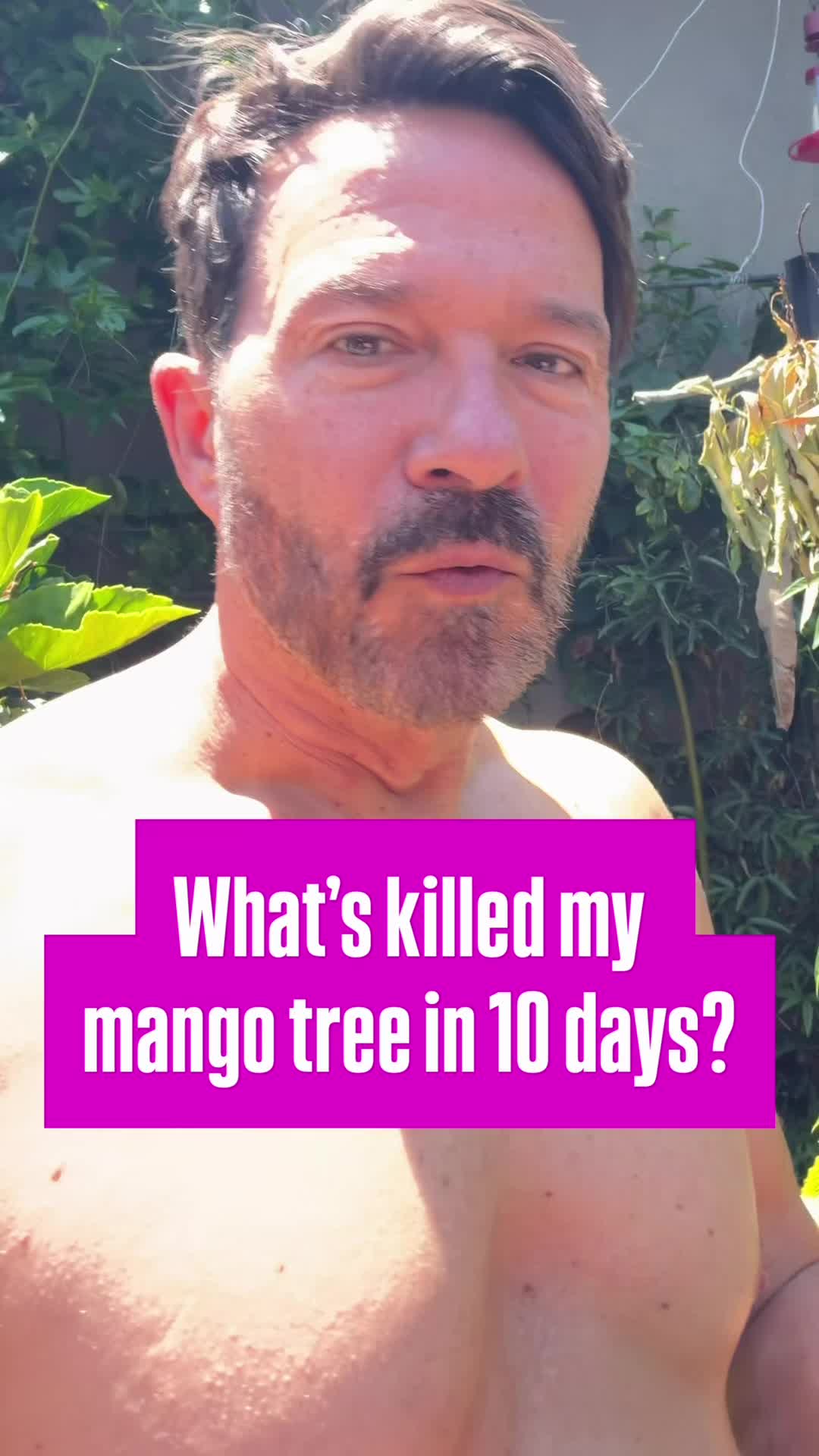 @FancyPlantsLA