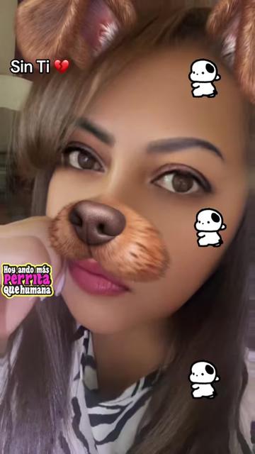 @🐶🐍Rᴏᴋᴇʀɪᴛᴀ_Cdmx💛💙🦅