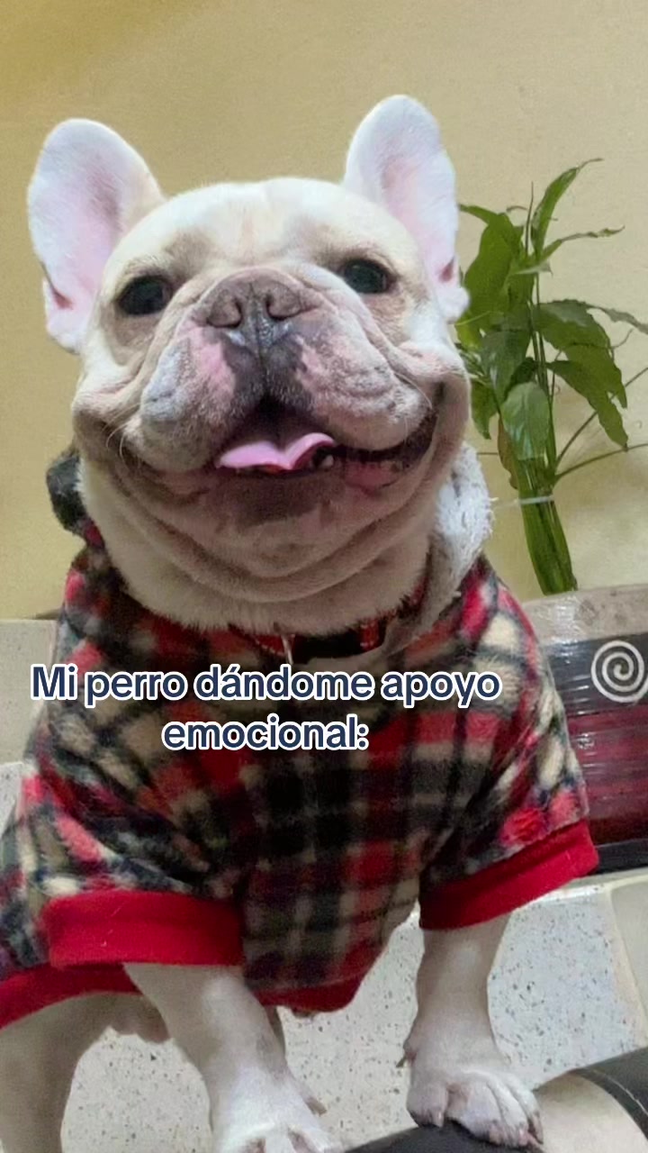 @Marianaa HL🎀