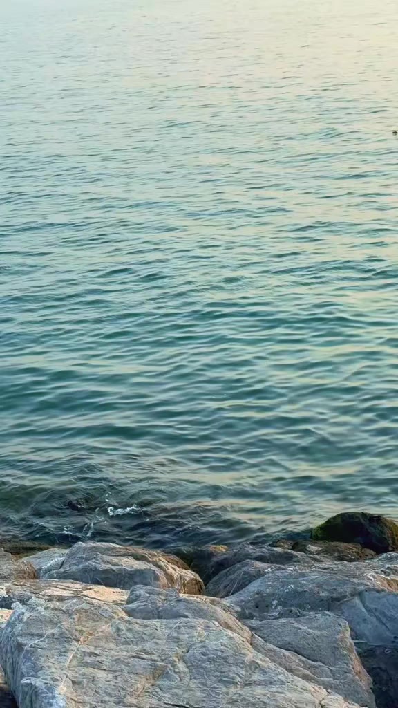 @چوھدری وقاص
