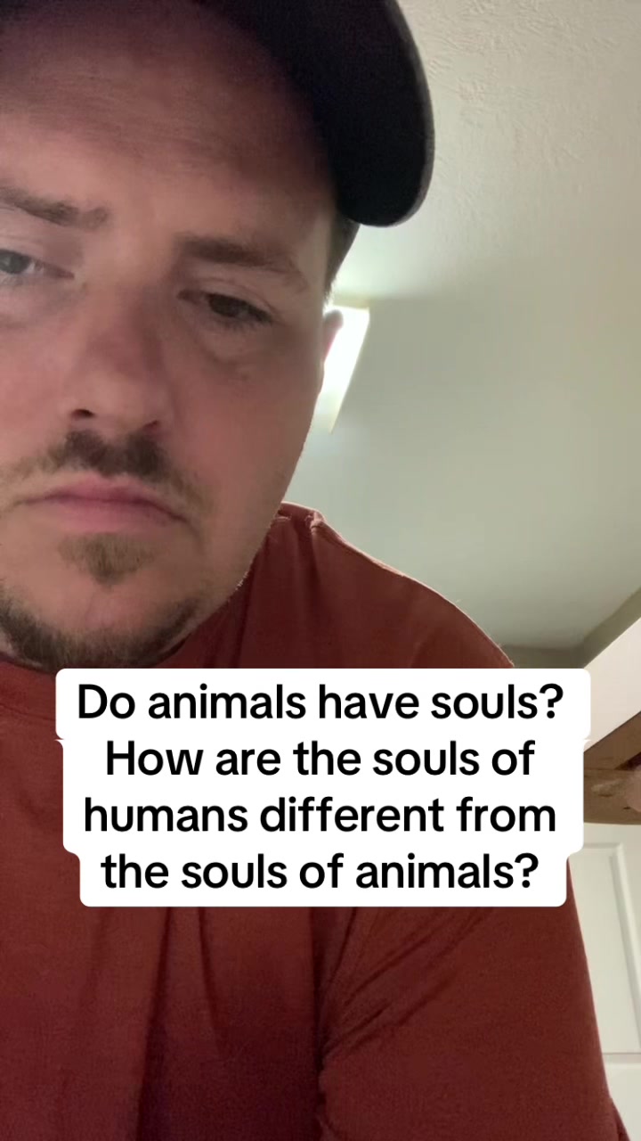 @Neighborhood Cat Man