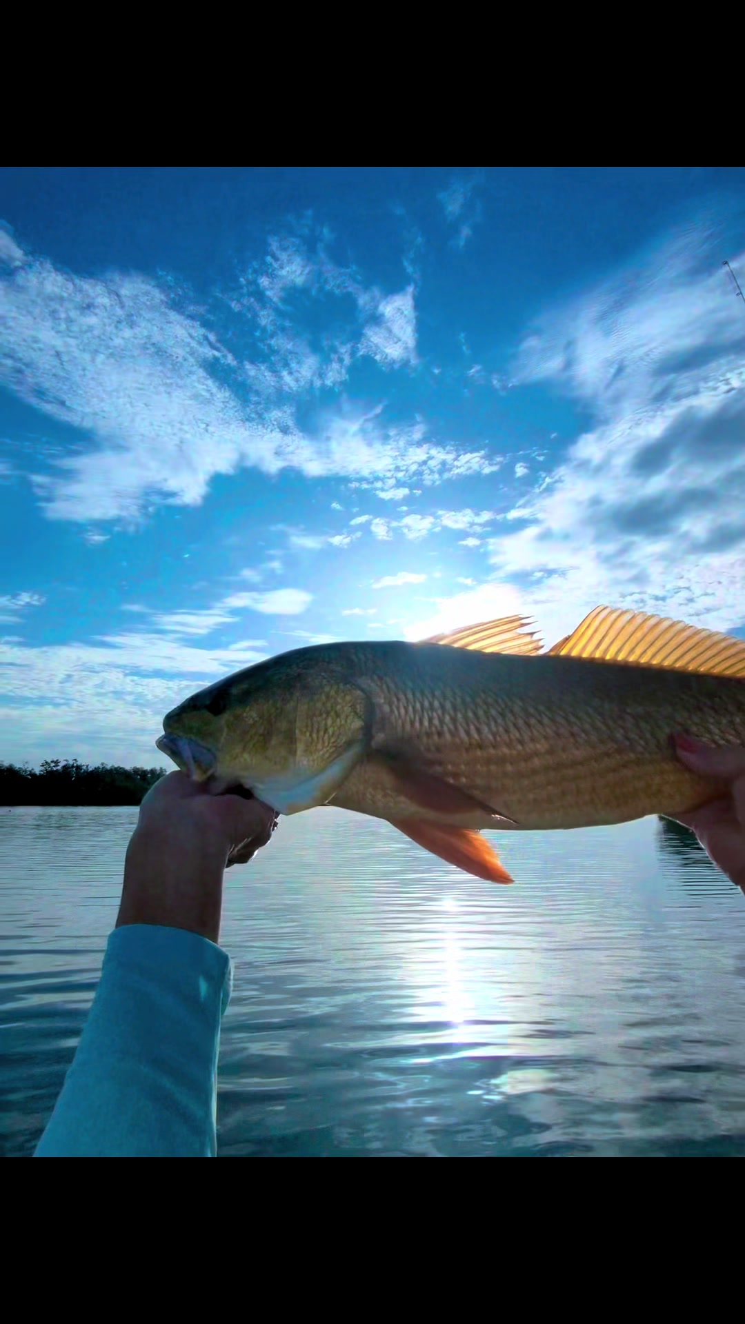 @SUP’n It Reel Adventures