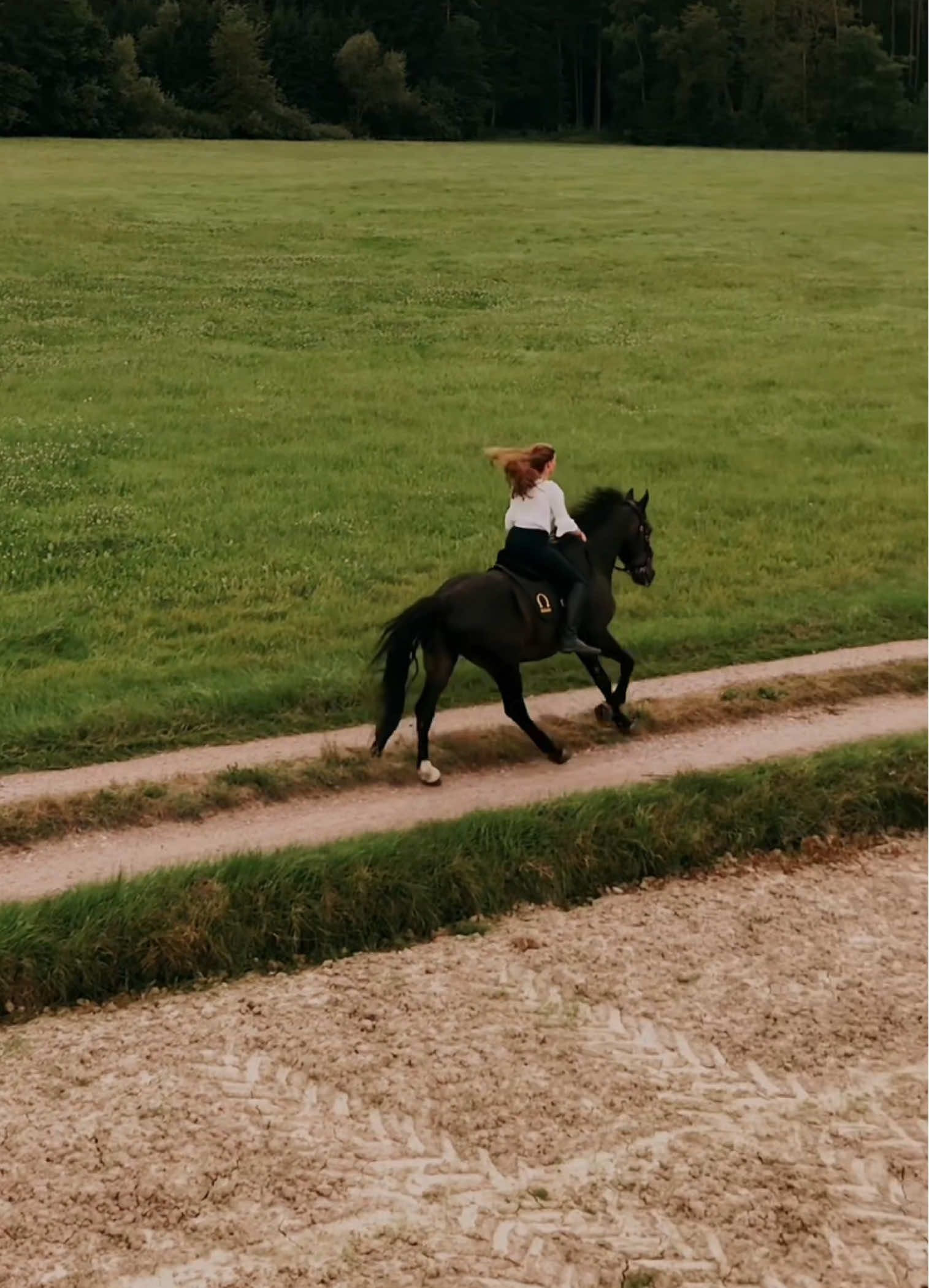 @FieryHorses ❤️&zwj;🔥