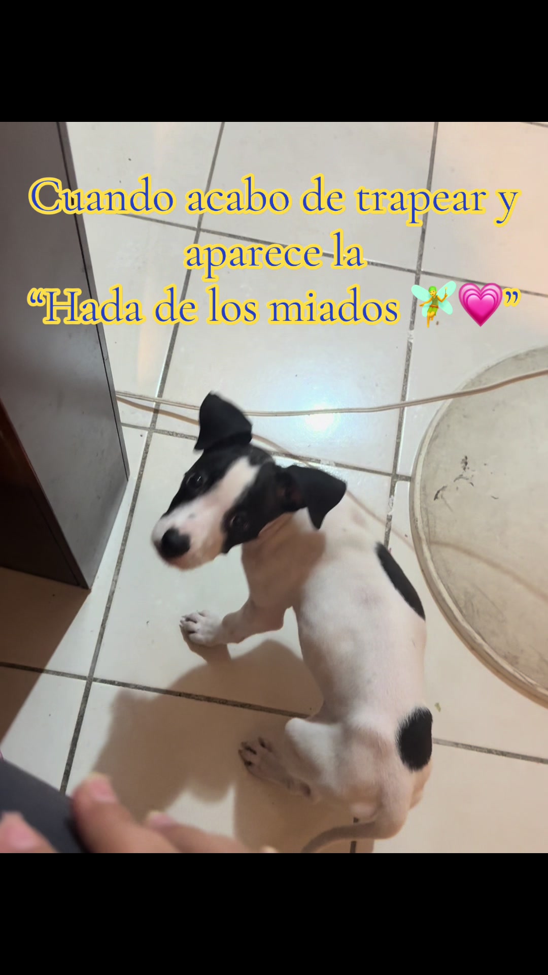 @Carolina Quezada