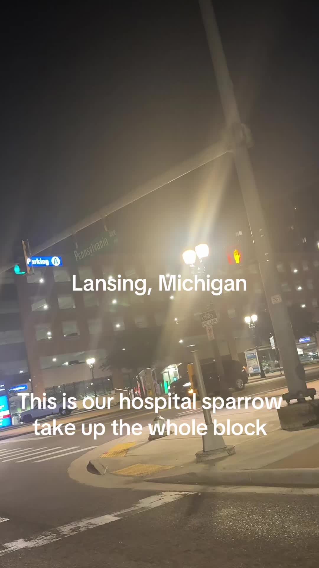@Michigan Joe,🐐