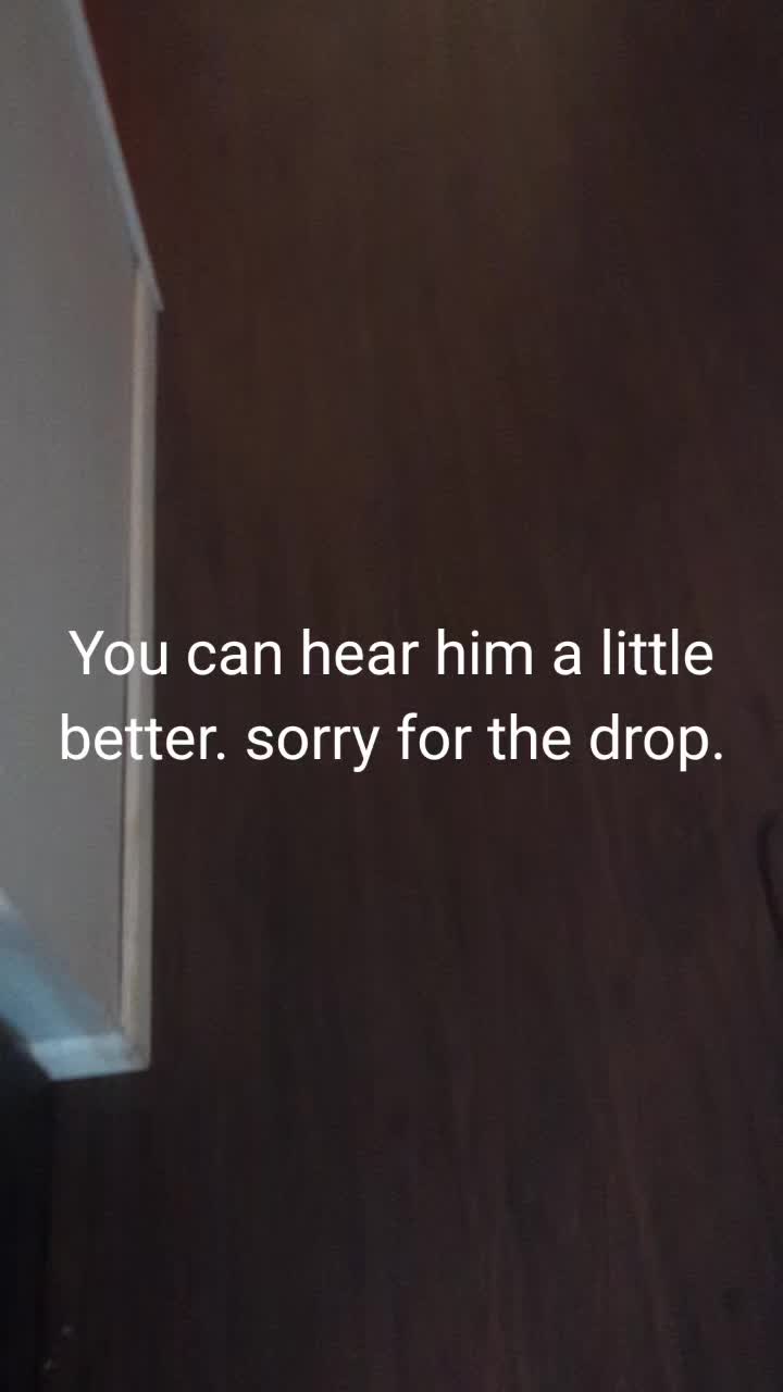 @Derrick Mitchell