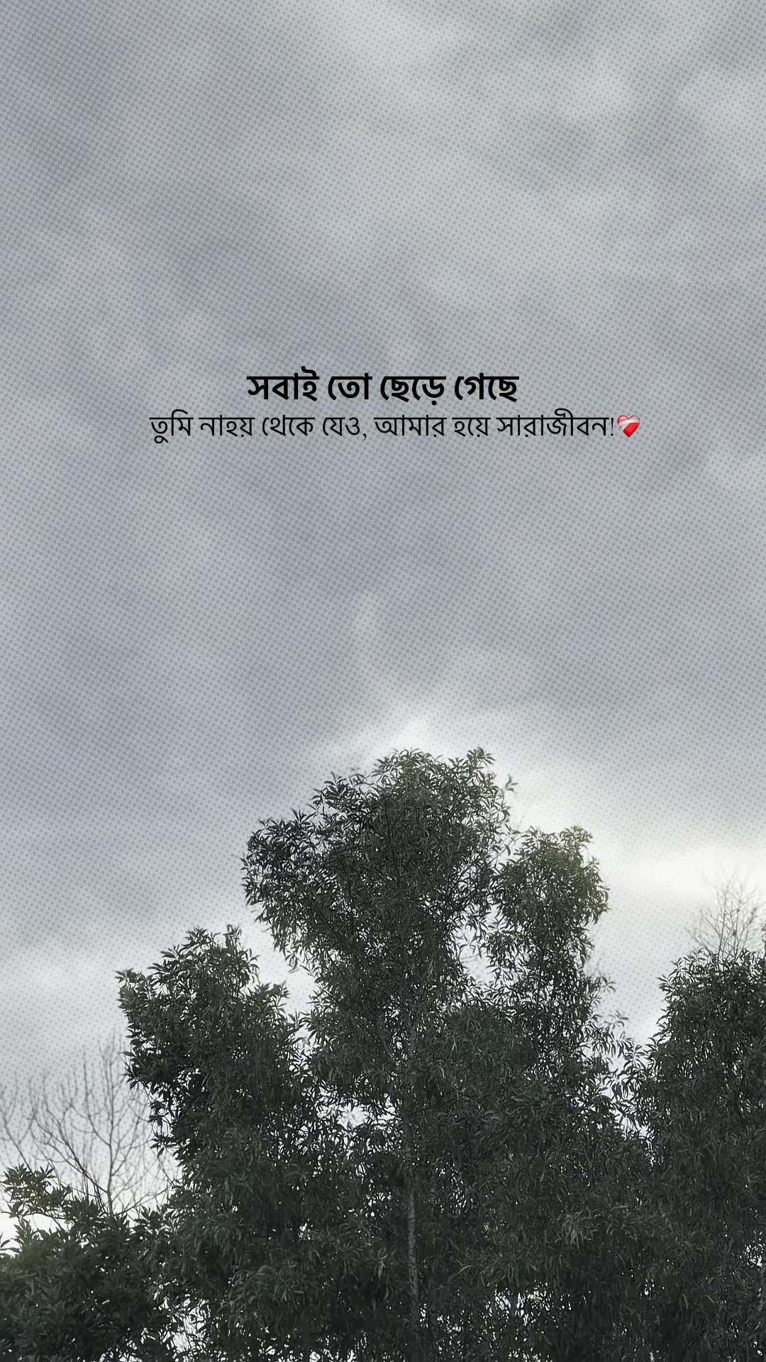 @❏ 𝐓𝐨𝐦'🐼