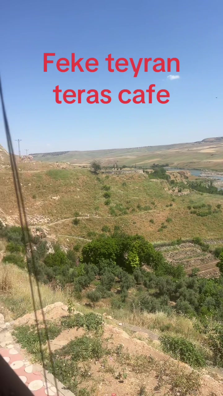@Şervan Oran