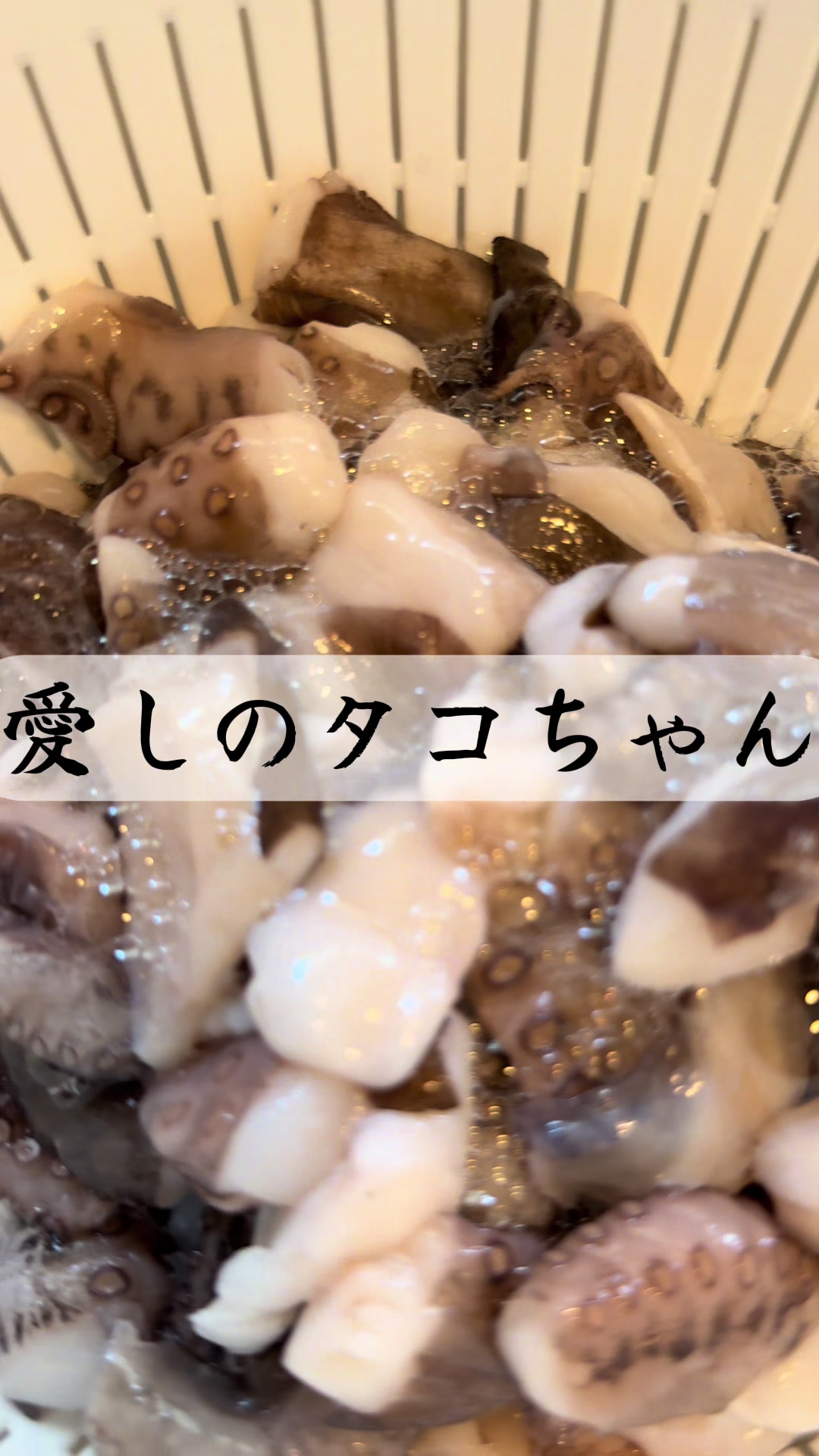 @kado