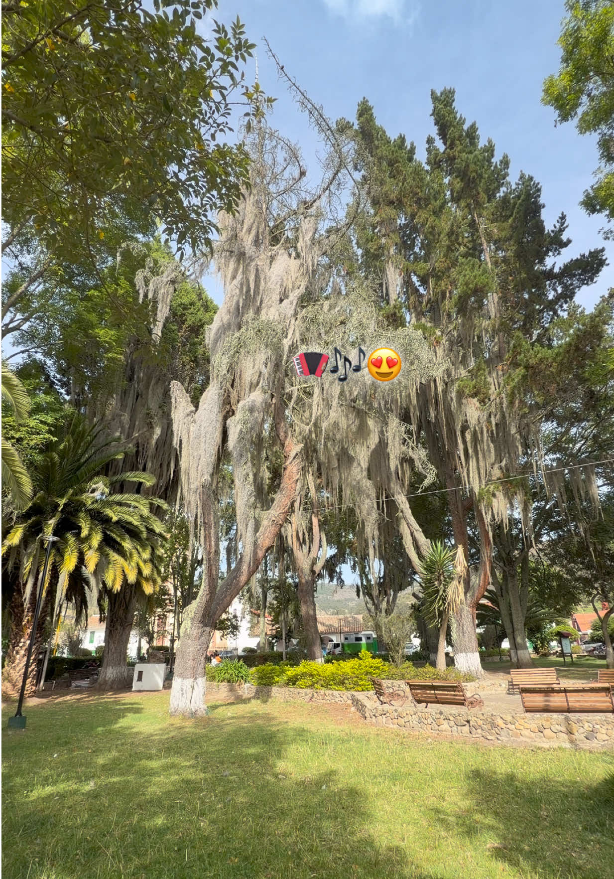 @MarcelaSaenz