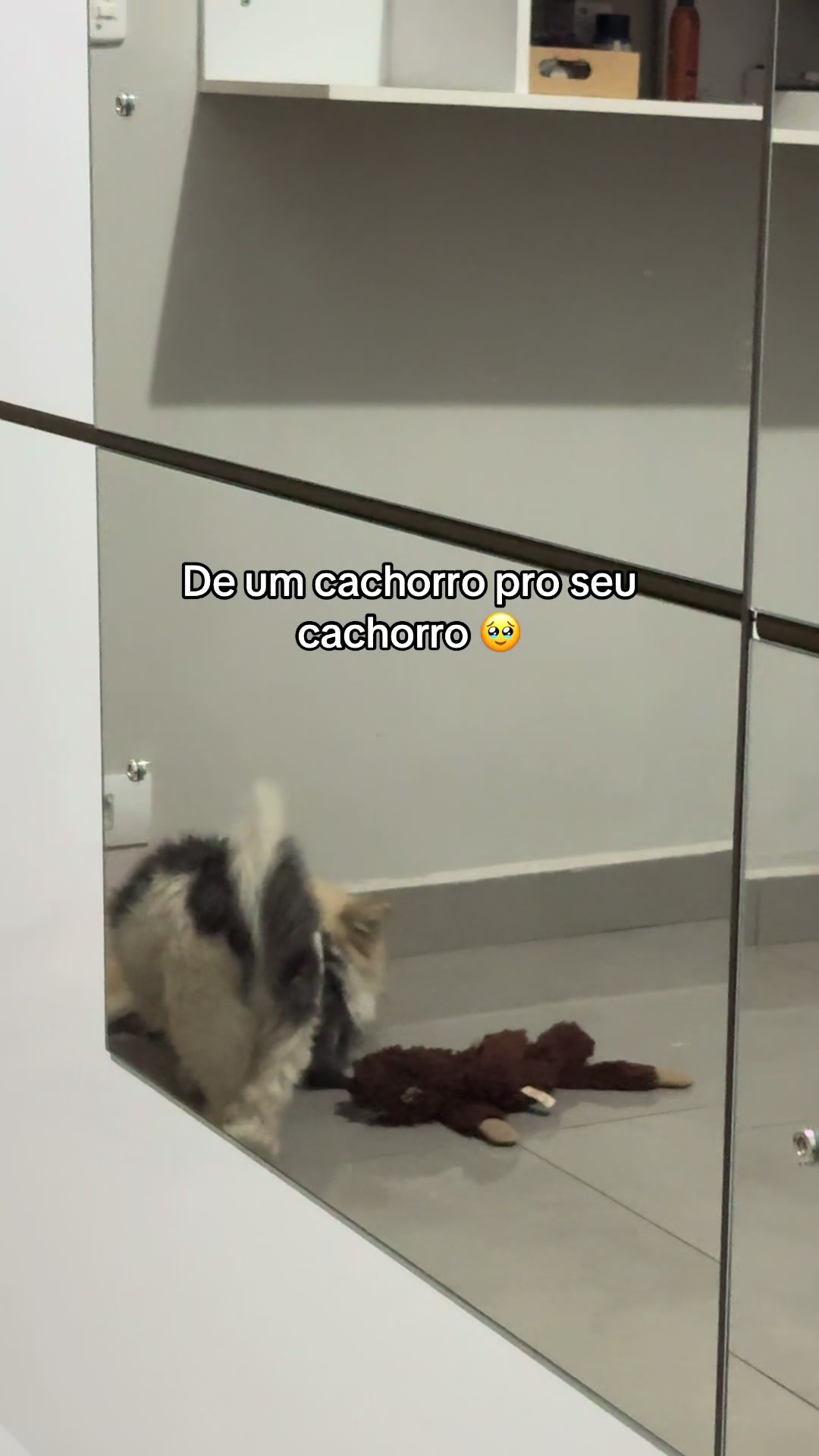 @Gaby Menon
