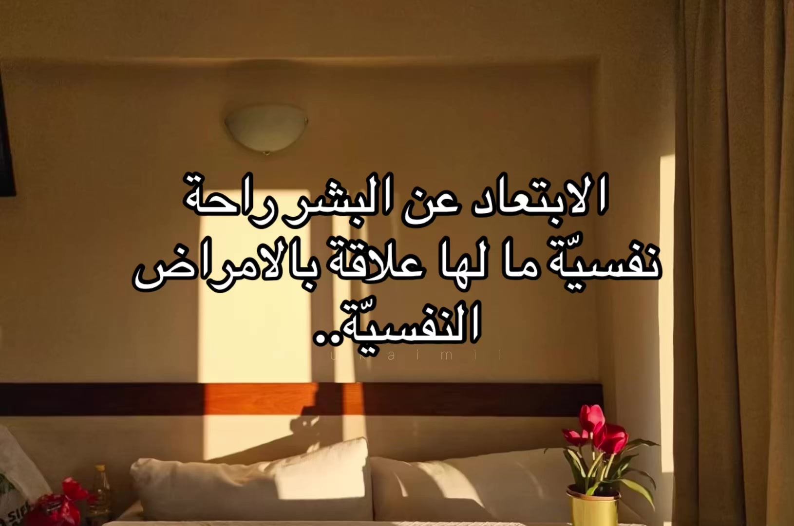 @يـُونْــ📜ــا / ʏᴜɴᴀ ˖ .⋆
