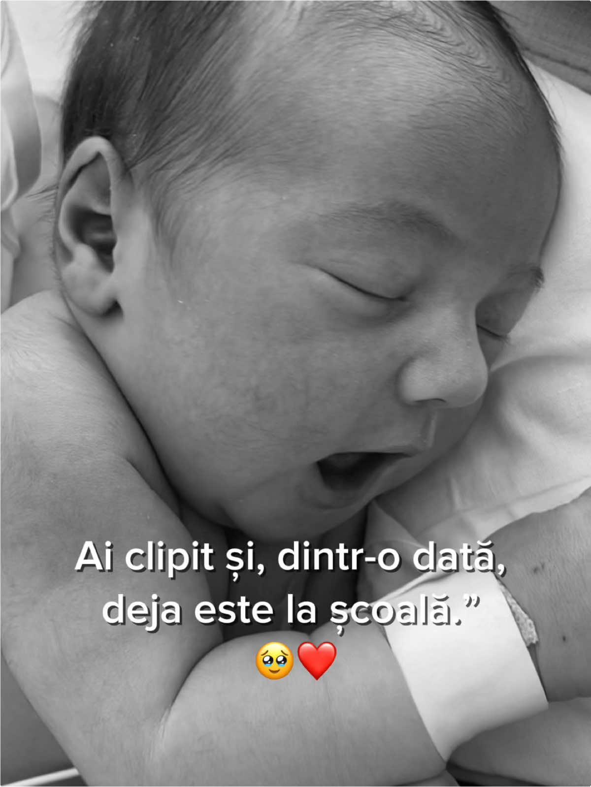 @🫂🎀Elena🎀🫂