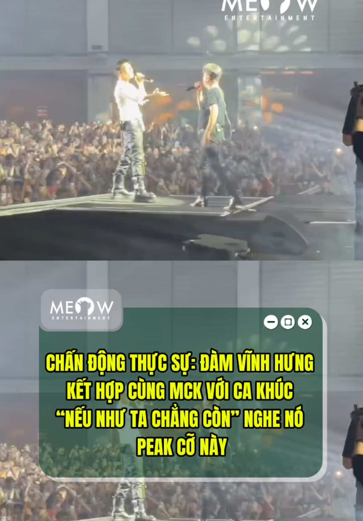 @MEOW ENTERTAINMENT