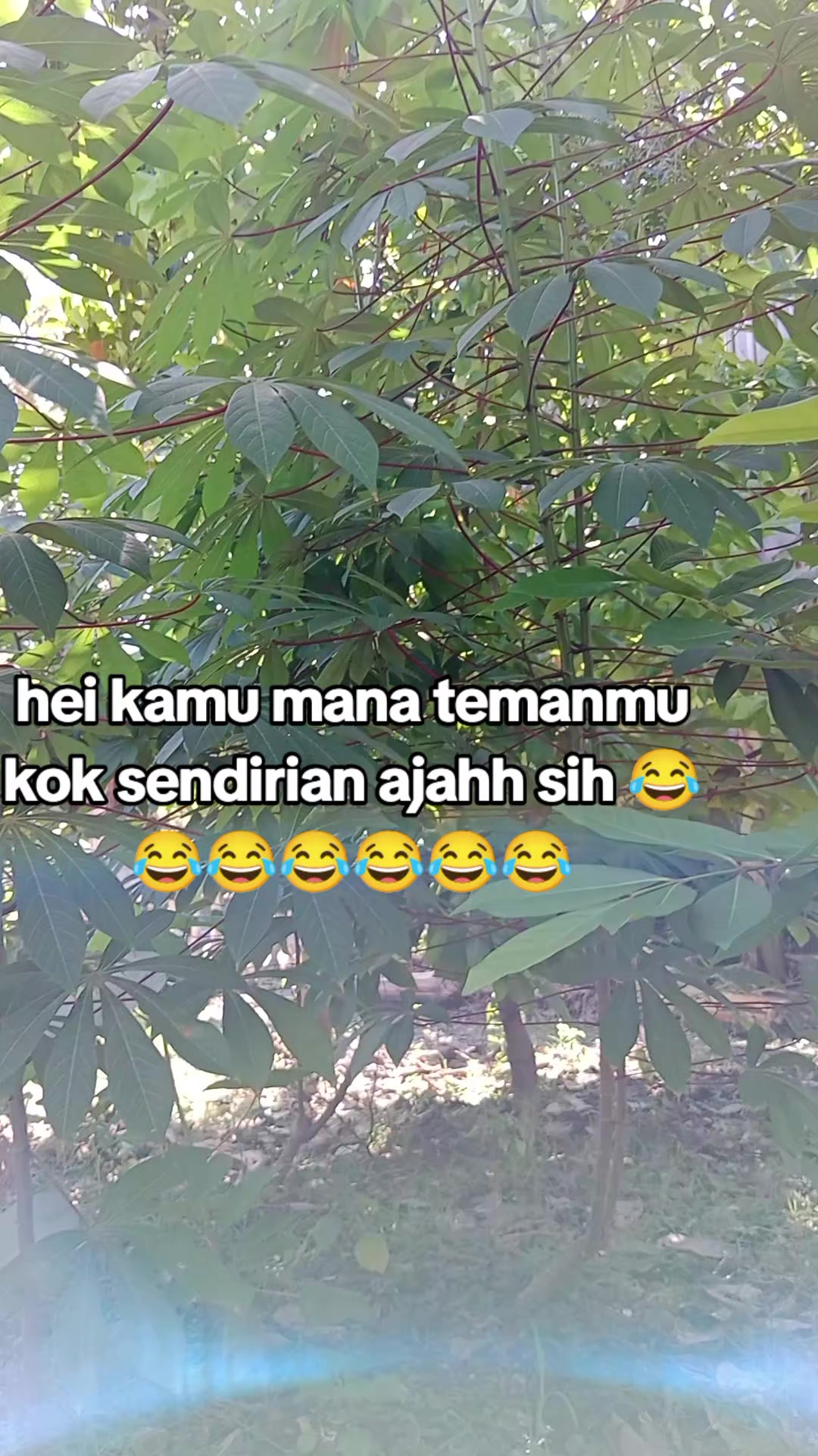 @🧡💙ERMAWATI 🧡💙